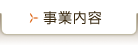 ���Ɠ��e