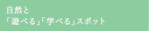 郷土の森／多摩川周辺