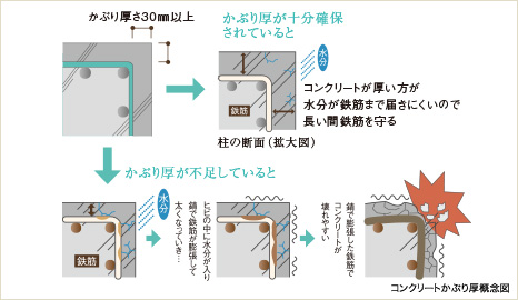 コンクリートかぶり厚概念図