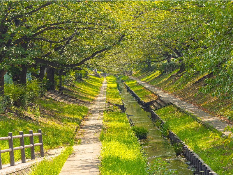 江川せせらぎ緑道