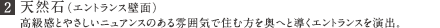 (2)天然石（エントランス壁面）
            高級感とやさしいニュアンスのある雰囲気で住む方を奥へと導くエントランスを演出。