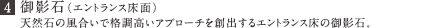 (4)御影石（エントランス床面）
            天然石の風合いで格調高いアプローチを創出するエントランス床の御影石。