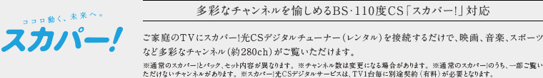 多彩なチャンネルを愉しめるBS・110度CS「スカパー！」対応。
            ご家庭のTVにスカパー！光CSデジタルチューナー（レンタル）を接続するだけで、映画、音楽、スポーツなど多彩なチャンネル（約280ch）がご覧いただけます。
            ※通常のスカパー！とパック、セット内容が異なります。 ※チャンネル数は変更になる場合があります。 ※通常のスカパー！のうち、一部ご覧いただけないチャンネルがあります。 ※スカパー！光CSデジタルサービスは、TV1台毎に別途契約（有料）が必要となります。
