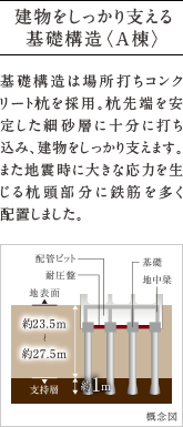 建物をしっかり支える基礎構造〈A棟〉。
          基礎構造は場所打ちコンクリート杭を採用。杭先端を安定した細砂層に十分に打ち込み、建物をしっかり支えます。また地震時に大きな応力を生じる杭頭部分に鉄筋を多く  配置しました。