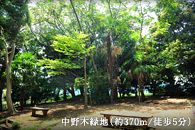 中野木緑地（約370m/徒歩5分）