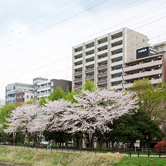 レアシス新横浜 パークフロント